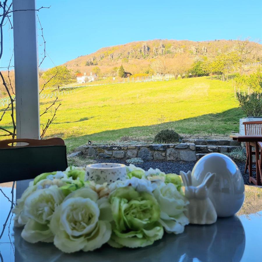 Villa Izabella Badacsonytordemic ภายนอก รูปภาพ