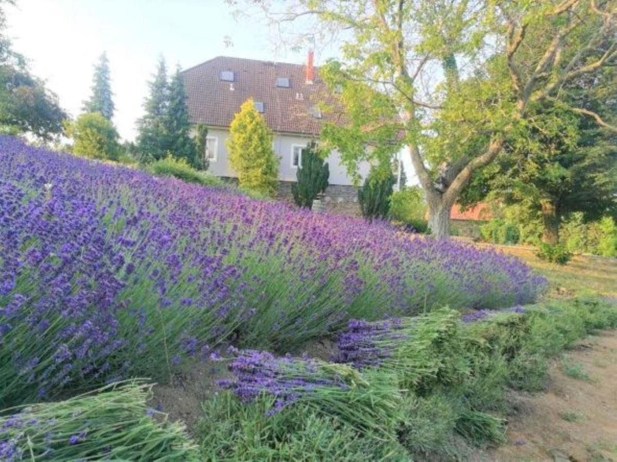 Villa Izabella Badacsonytordemic ภายนอก รูปภาพ
