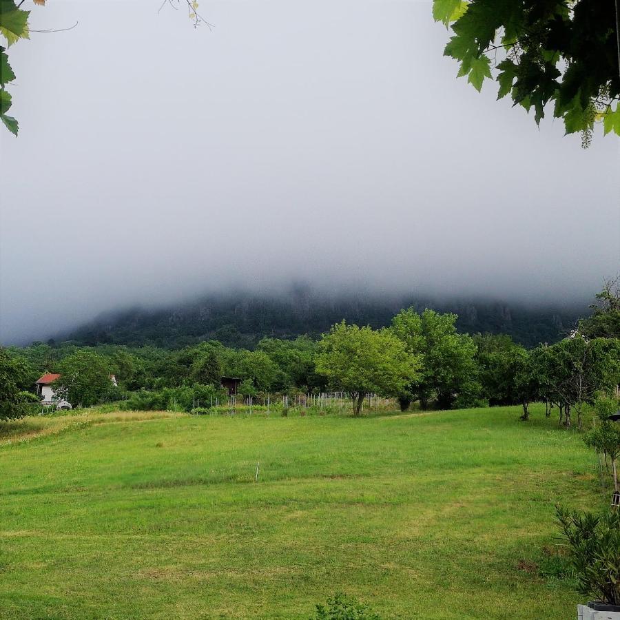 Villa Izabella Badacsonytordemic ภายนอก รูปภาพ